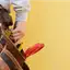 Handyman repair service in Scottsdale, AZ for home fixes and improvements